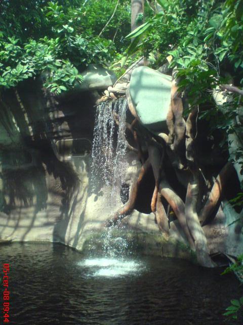 DSC00478.JPG