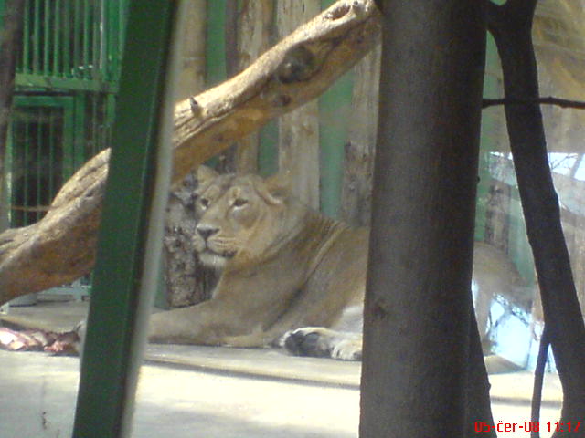 DSC00527.JPG