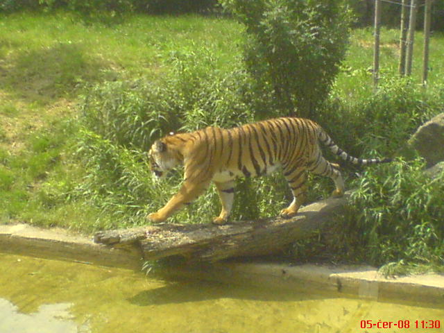 DSC00542.JPG