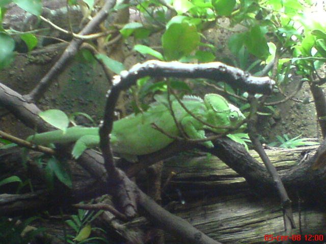 DSC00573.JPG