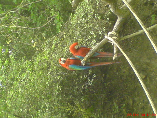 DSC00585.JPG